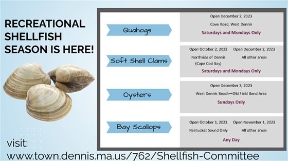 Dennis Shellfishing Open Dates