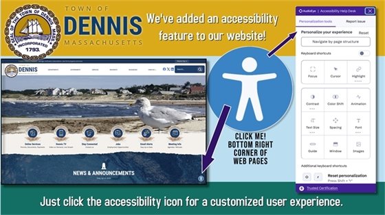 Website Accessibility Info