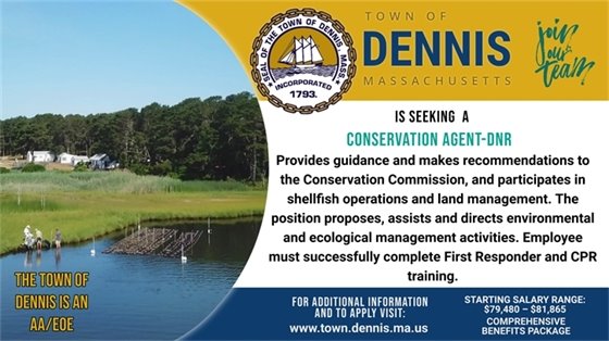 Seeking Conservation Agent