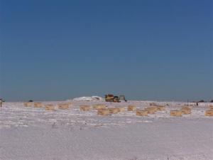 Excavator digging off in the distance