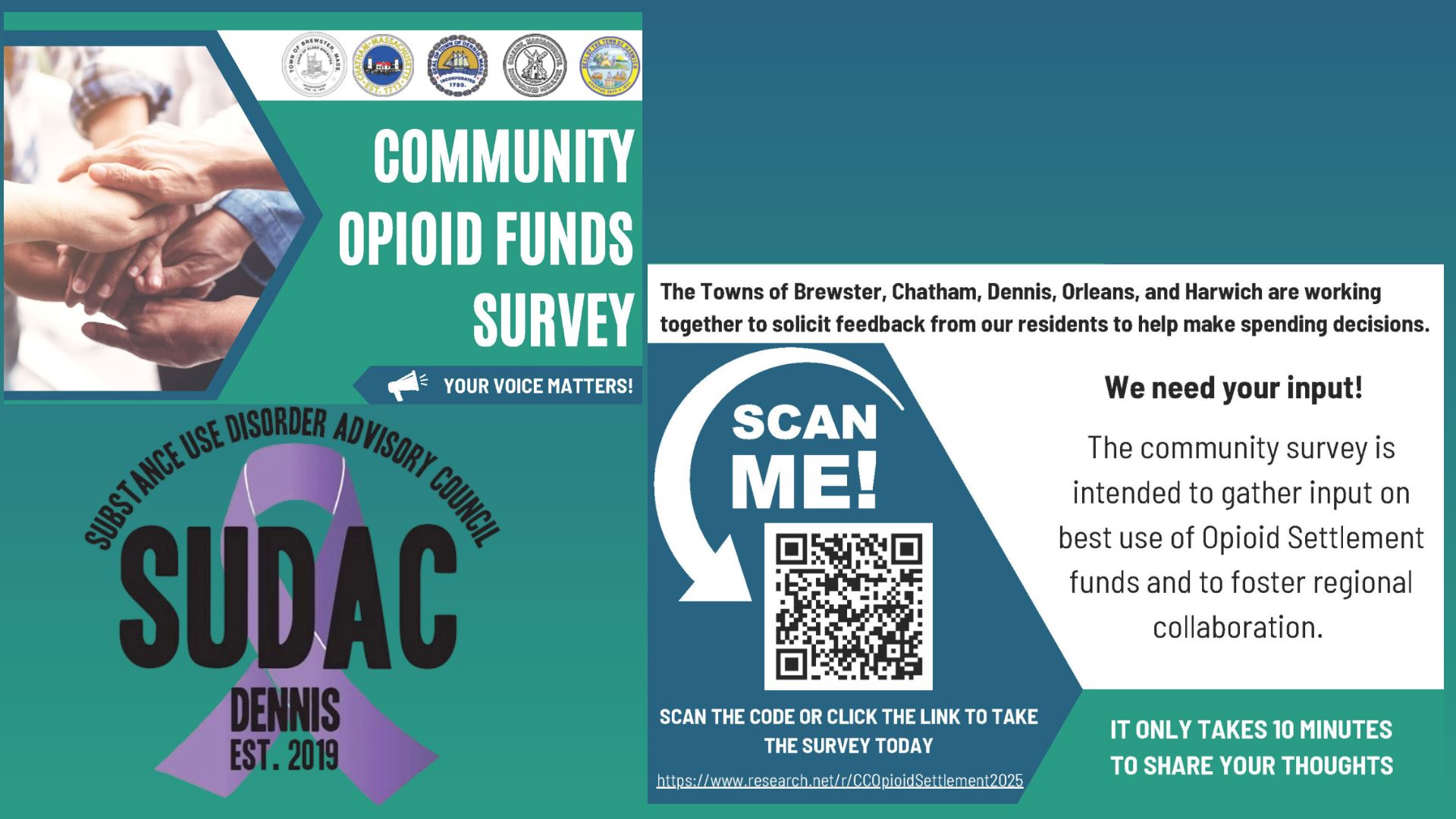 Opioid Funds Survey